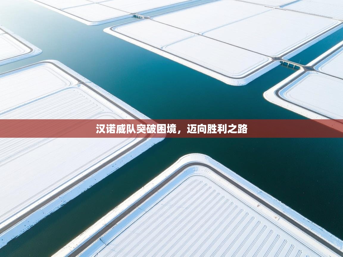 汉诺威队突破困境,迈向胜利之路 第2张