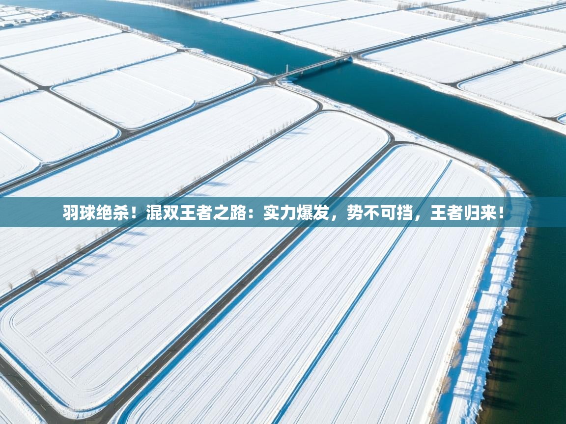 羽球绝杀！混双王者之路：实力爆发，势不可挡，王者归来！  第1张