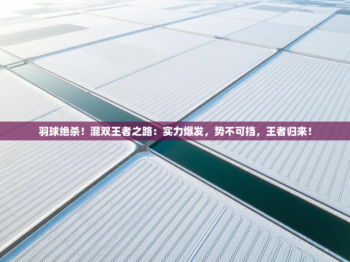 羽球绝杀！混双王者之路：实力爆发，势不可挡，王者归来！  第2张
