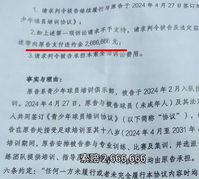 国内足球联赛的经营模式有何不足? 国内足球联赛的经营模式有何不足?